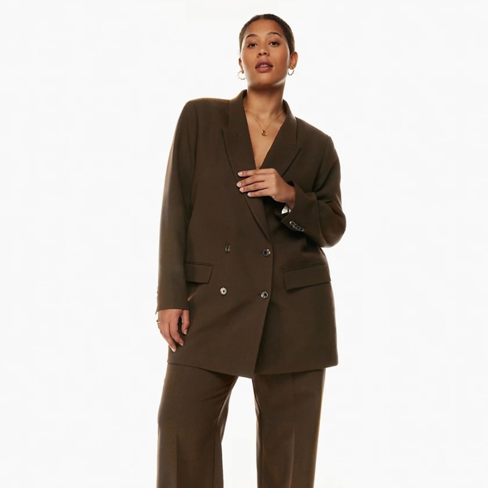 Aritzia Wilfred Blazer